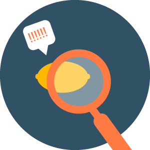 03-The Federal Lemon Law-01